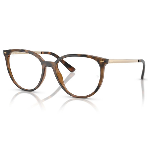 RAY BAN RX7246 2012